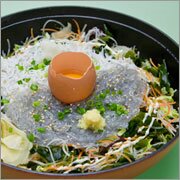 釜揚げと生しらす２色丼